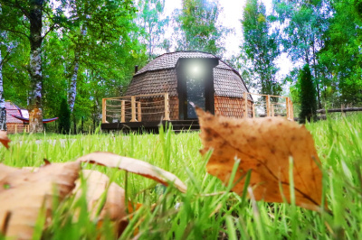 Серый кардинал